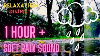 🎵 1 hour plus Soft rain sound music rhythm to relax clam yoga sleep study sleep babies Rain viral 🎵