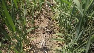 WHERE DO THE BIOSOLIDS GO? Boulder Park Tour Episode 3