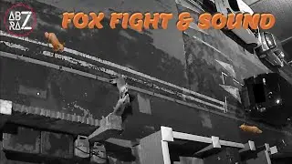 What sound does a fox make? Fox fighting for food and territory! - Animals taking over! 🦊