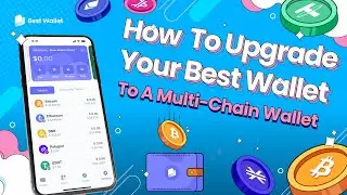 How To Upgrade Your Best Wallet To A Multi-Chain Wallet