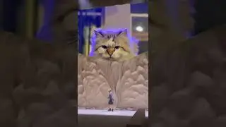 Cat's Cute and Funny Pose! 😻 #shorts