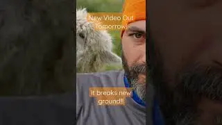 Alpace Hoodie Review tomorrow! #hikinggear #backpacking #alpaca #appalachiantrail #shorts #comedy