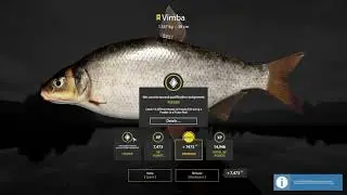 Russian Fishing 4 - Trophy Vimba At Volkhov River