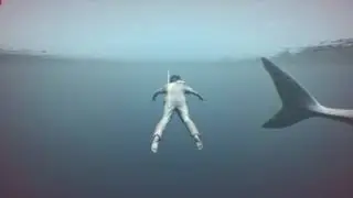 SCUM - Wrecked by a Fcx!n Shark! on Feudal's CS  -  nohud -