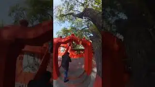 Hidden temple in Lucknow  #lucknow #ytshorts