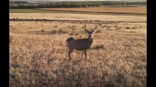 Western Nebraska Beauty