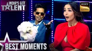 Talking Dog को देखकर Malaika हुई Shock! | India&rsquo;s Got Talent Season 11 | Best Moments