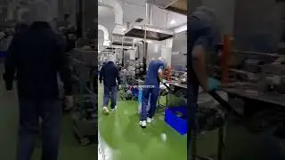 Coconut Egg Roll Machinery in Production