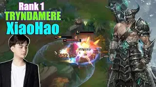 RANK 1 TRYNDAMERE - HARD COME BACK WITH OVER 20 KILLS - XIAOHAO TRYNDAMERE VS VOLIBEAR