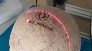 How to make permanent print or marking on coconuts