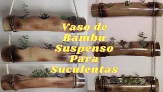 Vaso de Bambu Para Suculentas Suspenso.