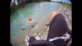 Fiume taro siluri e cavedani