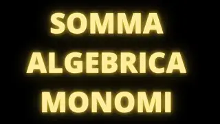 Somma algebrica di monomi