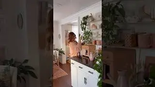 pov: it&rsquo;s plant care day 🌿 #plants #plantlover #cozyhome #interiorstyling #homeinspo #homedesign