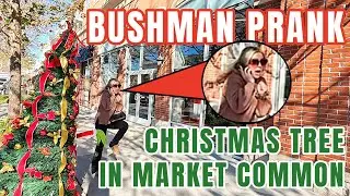 Bushman Pranks in Myrtle Beach - Market Common Christmas Tree #prank #funny #myrtlebeach #shorts