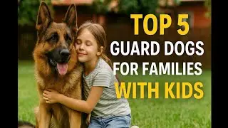 Top 5 Best Guard Dogs for Families with Kids 🐶 Safe & Protective Breeds You&rsquo;ll Love!