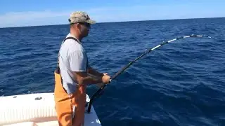 Rhode Island Shark fishing Suffolk wreck. *** Shark terminal overview, harpoon and live bait rigging