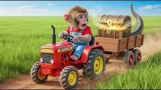 Hero Monkey Saves a Puppy from Flood | Monkey on the Farm Heartwarming Rescue Story