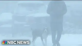 Rare and dangerous snowstorm sweeps through the Deep South