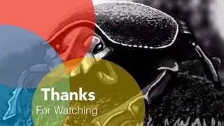 Dung Beetle Speed Painting Colors 3d Nintendo Ds