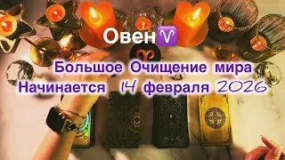 Овен ♈️  таро и астро прогноз с 9 по 15 февраля 2026 года 