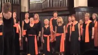 Sheffield Socialist Choir - El Cant Ocells - Sala Dolores.m4v