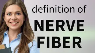 Nerve fiber | definition of NERVE FIBER