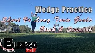 Working on my wedge play (Short term Vs Long Term)