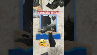 MAKING A CAT COLLAGE FOR MY PAINTED FRAME