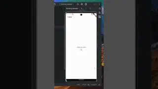 Flutter API Call Using Provider State Management