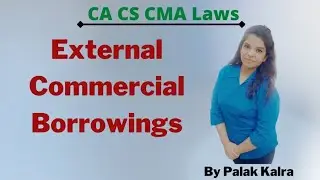 EXTERNAL COMMERCIAL BORROWINGS (ECB)