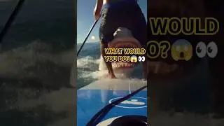 POV: Paddleboarding&hellip; until THIS came head-on 😱🦈| Chapter 28 #pov #shark #ocean #paddlesurf #attack