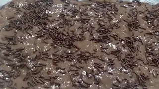PAVÊ DE CHOCOLATE | SOBREMESA RÁPIDA E DELICOSA