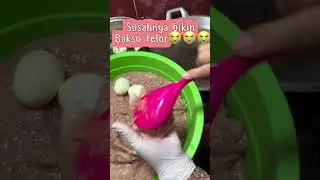 bakso telor