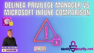 Delinea Privilege Manager VS Microsoft Intune Comparison