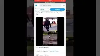 Morgz fight