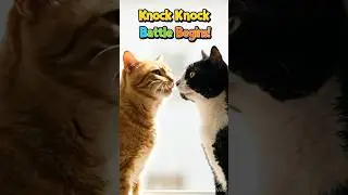 &ldquo;Knock Knock&hellip; Who&rsquo;s There? Two Funny Cats!&rdquo; #shorts #cat #funny