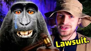 The Bizarre History of Animals Put On Trial
