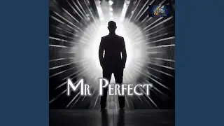 Mr Perfect