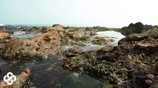 10 Minute Rock Pool Meditation &bull; Relaxing Music, Stress Relief, Calming Ocean &bull; Serene Scape