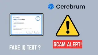 Обзор CerebrumIQ.com &mdash; раскрыто еще одно мошенничество с тестами на IQ?