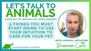 5 Things You Must Start Doing to Use Your Intuition to Care for Your Pet