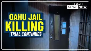 Witness fear dominates jail killing trial as testimony continues