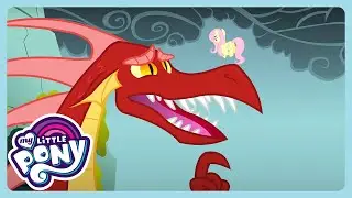 My Little Pony: Friendship Is Magic - Dragonshy | WildBrain Enchanted | Kids Cartoons
