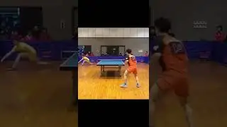 IS THIS REAL? WHAT A SHOT UNDER THE LEG IN TABLE TENNIS! #shorts #tabletennis #pingpong #乒乓 #2023