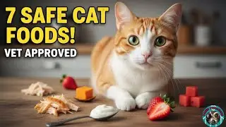 What Can Cats Eat Besides Kibble? 🐾 7 Vet-Approved Safe Foods for Your Feline!