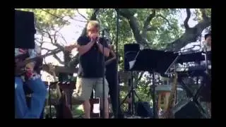 ▶ Denny on harp w/ Cathy Cotton and Elliot's Evil Plan ... McGinneys Party 2013