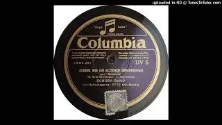 Vienna Sonora Band - Schenk mir ein bisschen sonnenschein - 1930 (HOT)