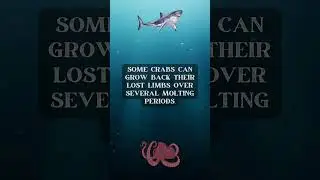 Unbelievable Marine Life Fun Facts! 🌊🐠 Part Unbelievable Marine Life Fun Facts! Part 25