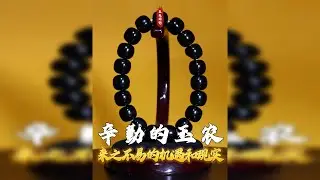 勤劳玉农的来之不易的机遇和现实